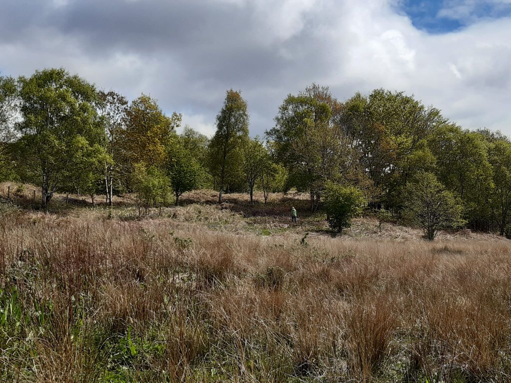 Land for salePlot With Croft At Achnahully, Arisaig PH39 photo 2