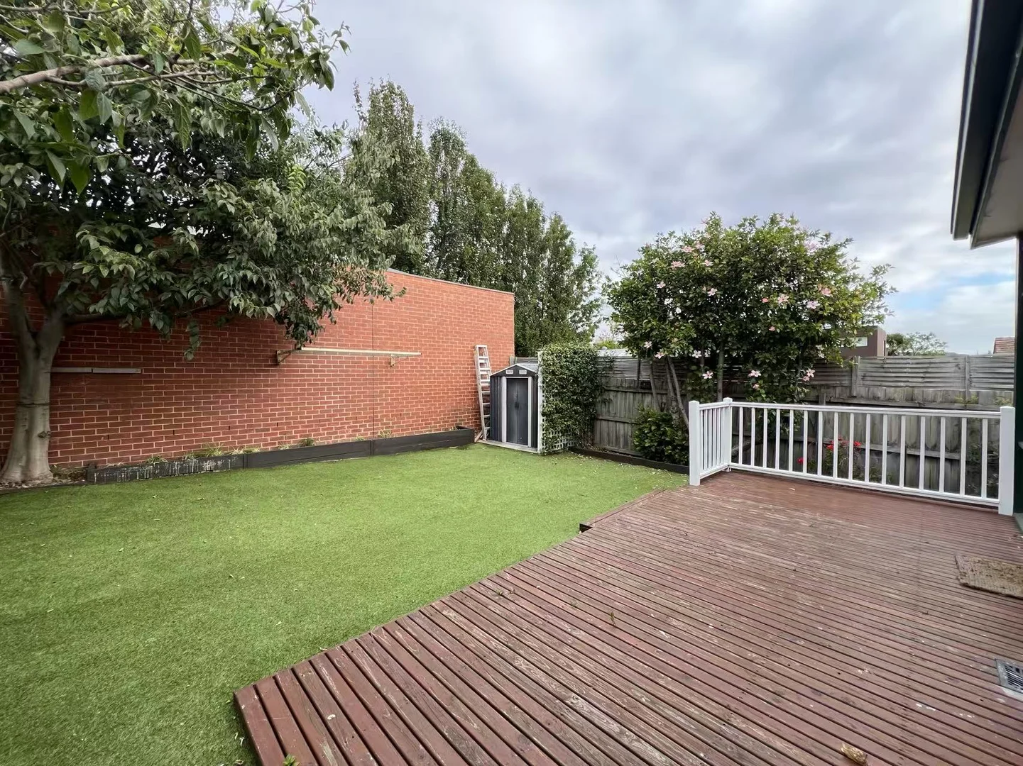 Additional image 7 of 49 Elgin Street, Hawthorn VIC 3122