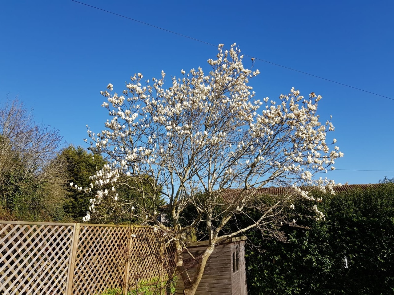 Additional image 33 of 5 Bed Semi-Detached House, Antrim Road, BS9, N1 7GU