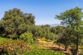 Additional image 43 of 28808 Mountain Meadow Rd, Escondido, CA, 92026