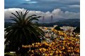 2422 Pacheco St, San Francisco, CA, 94116