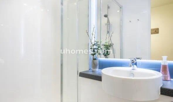 Room in a Shared Flat, Hollis Croft, S1, N1 7GU photo 4