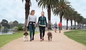 Additional image 12 of 731/572 St Kilda Rd, Melbourne VIC 3004