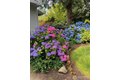 Additional image 34 of 7416 245th Way NE, Redmond, WA, 98053