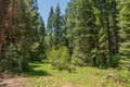 Additional image 26 of 11221 Corral Bottom Rd, Big Bar, CA, 96010