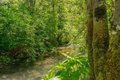 Additional image 50 of 11221 Corral Bottom Rd, Big Bar, CA, 96010
