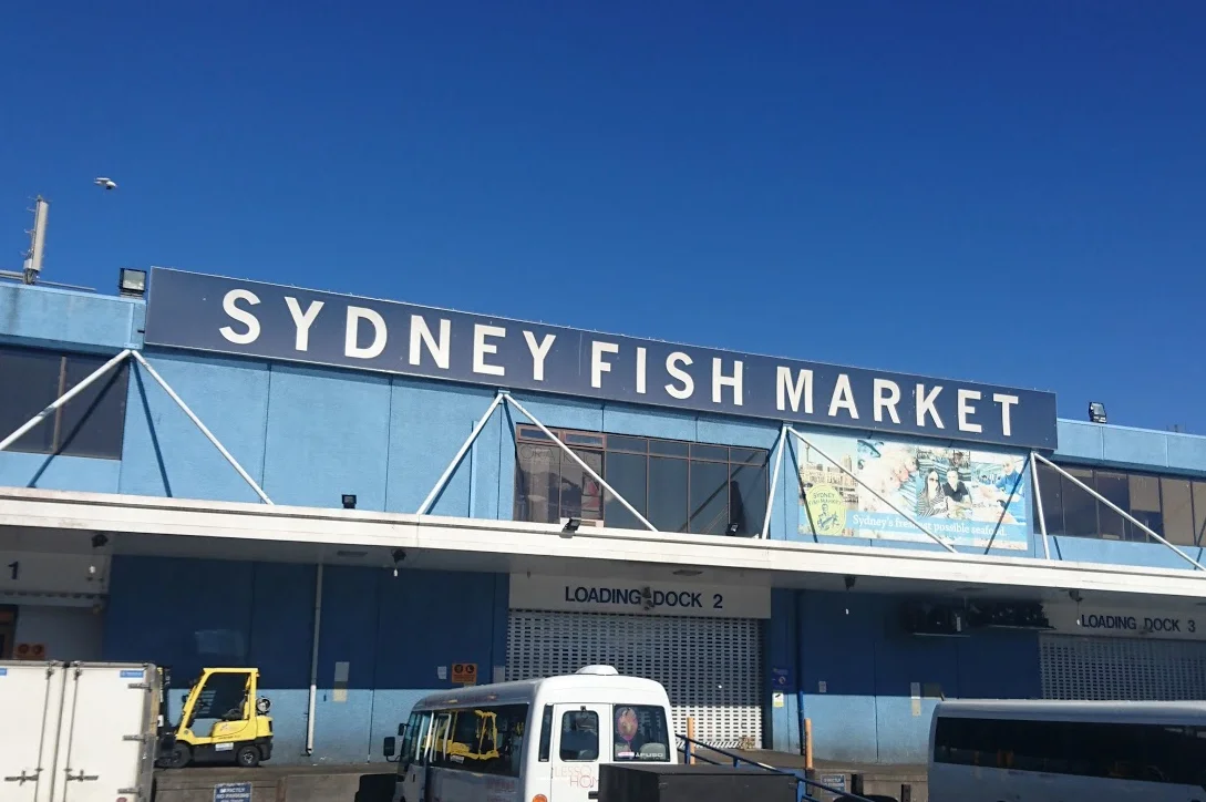 Additional image 31 of 611/1 Stirling Street, Glebe NSW 2037