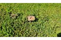 Additional image 31 of 19215 Hooker Creek Rd, Cottonwood, CA, 96022