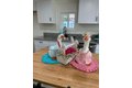 Additional image 4 of 18450 N Highway 88, Lockeford, CA, 95237