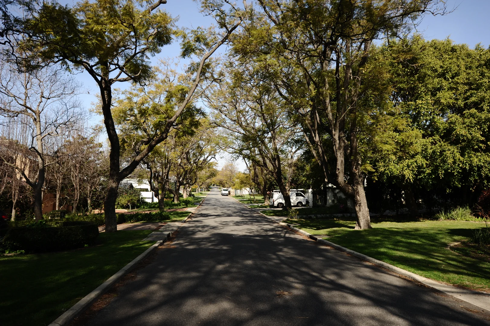 Additional image 15 of 5 Nisbet Rd, Applecross WA 6153
