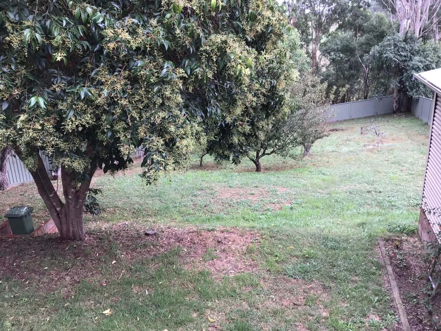 Additional image 8 of 10 Gillespie Street, Cobargo NSW 2550