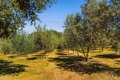 Additional image 55 of 28808 Mountain Meadow Rd, Escondido, CA, 92026
