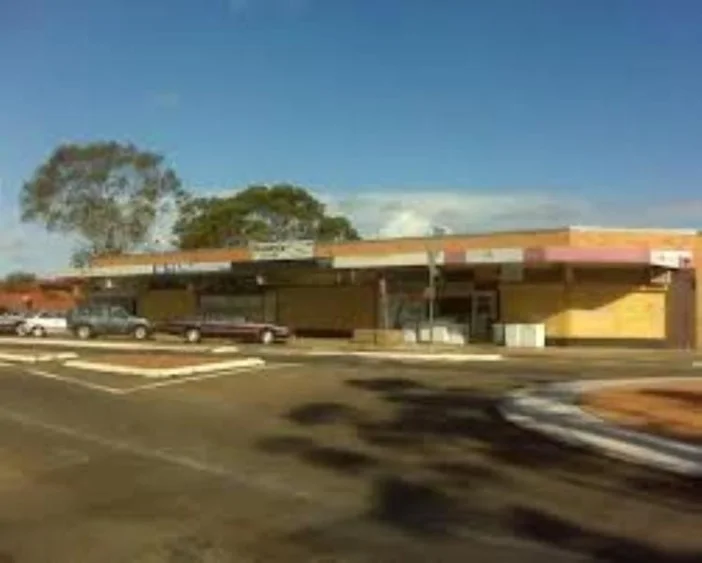 166-168 Waminda Ave, Campbelltown NSW 2560
