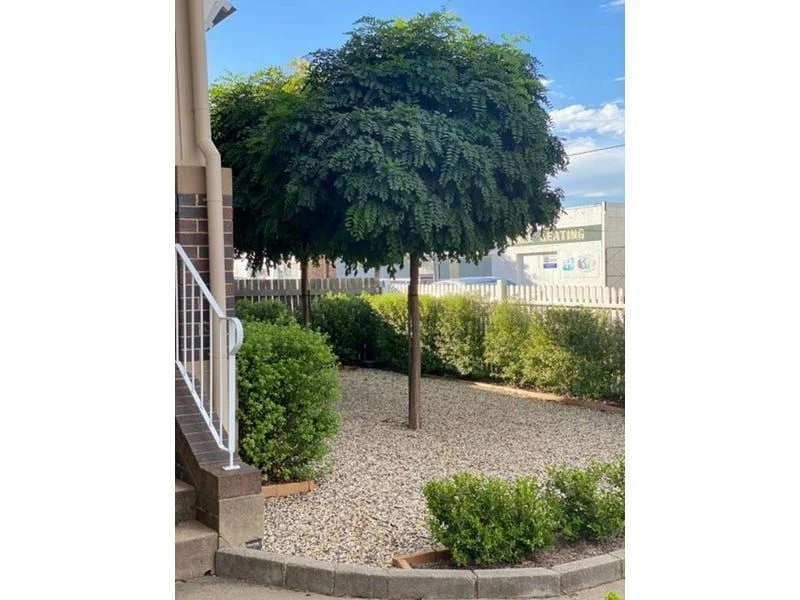 94a Beardy Street, Armidale NSW 2350