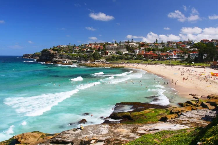 Additional image 13 of 16/107 Macpherson Street, Bronte NSW 2024