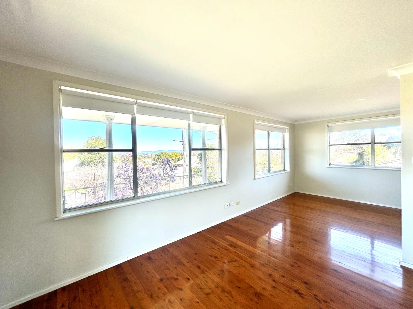 Additional image 4 of 16A Carthage St, North Tamworth NSW 2340