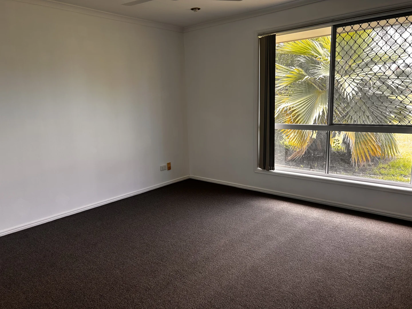 Additional image 6 of 77 Exeter Street, Torquay QLD 4655