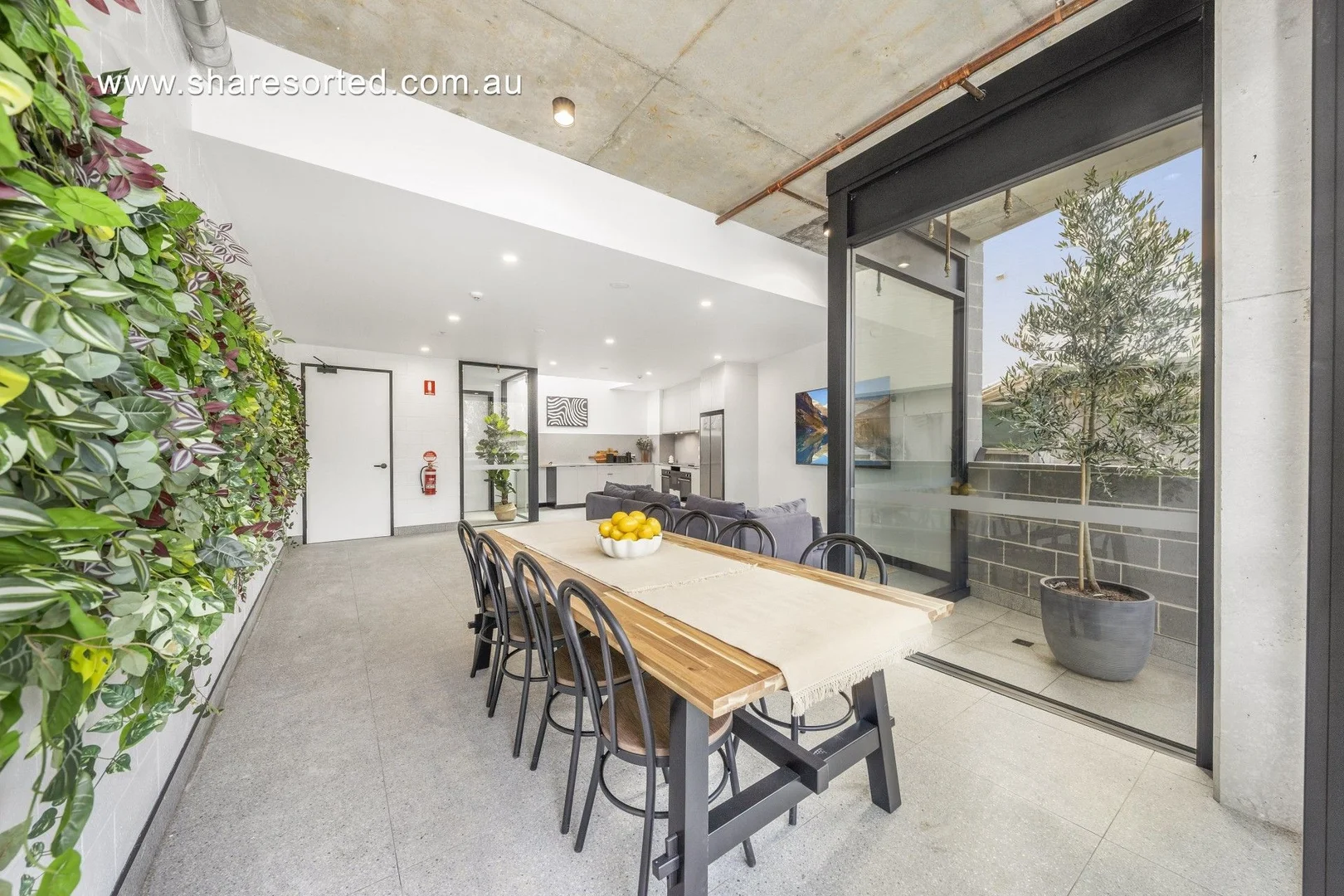 Additional image 9 of 36 Floss Street, Dulwich Hill NSW 2203