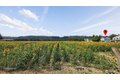 Additional image 39 of 31922 NE 55th St, Carnation, WA, 98014
