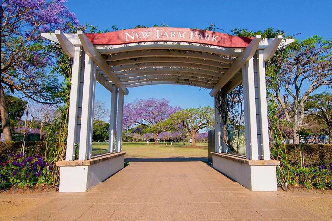 Additional image 6 of 8/12 Bailey Street, New Farm QLD 4005