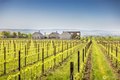 Additional image 2 of 1721J B George Rd, Walla Walla, WA, 99362