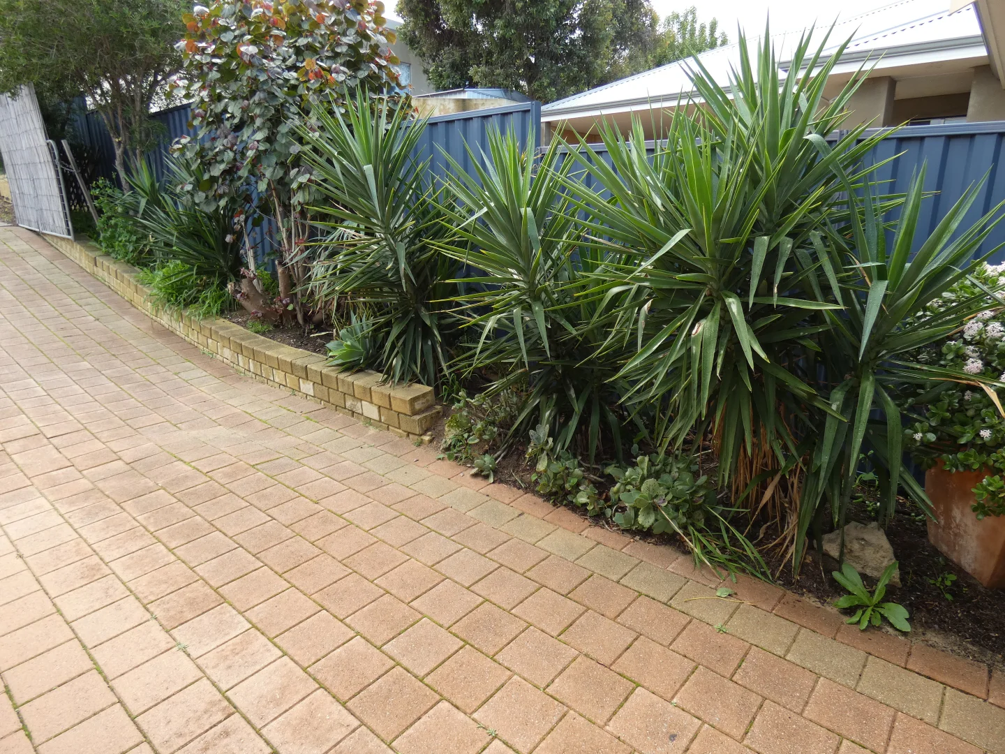 Additional image 14 of 97A Leach Highway, Willagee WA 6156
