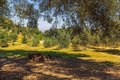 Additional image 62 of 28808 Mountain Meadow Rd, Escondido, CA, 92026