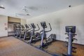 Additional image 62 of 407 Cypress Point Dr, Palm Desert, CA, 92211