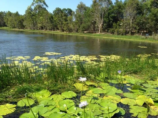 Additional image 17 of Mango Hill QLD 4509
