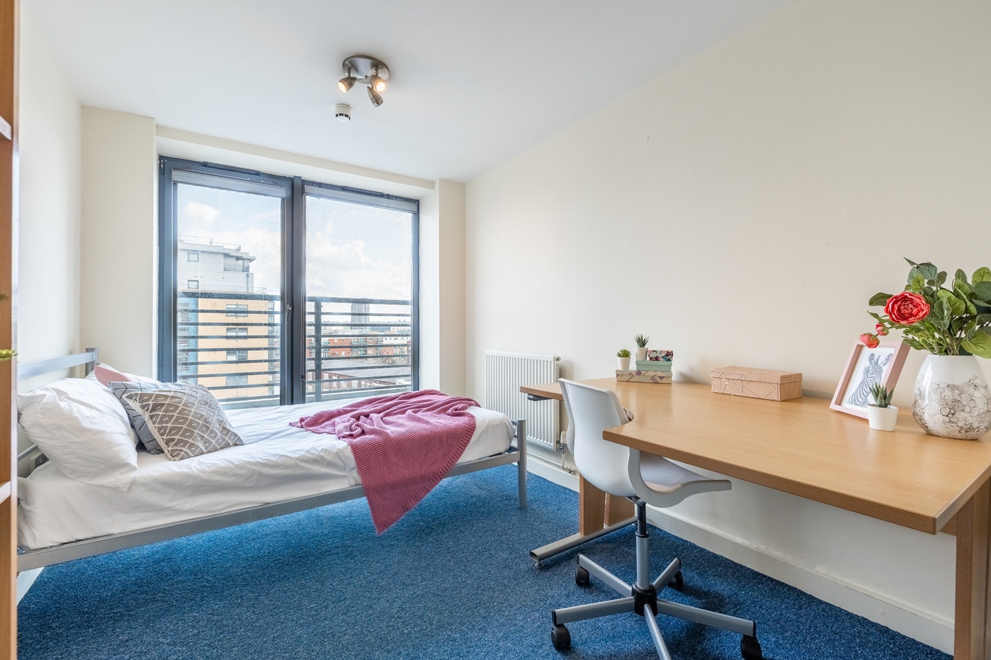 Room in a Shared Flat, Regent Terrace, S3, N1 7GU photo 5