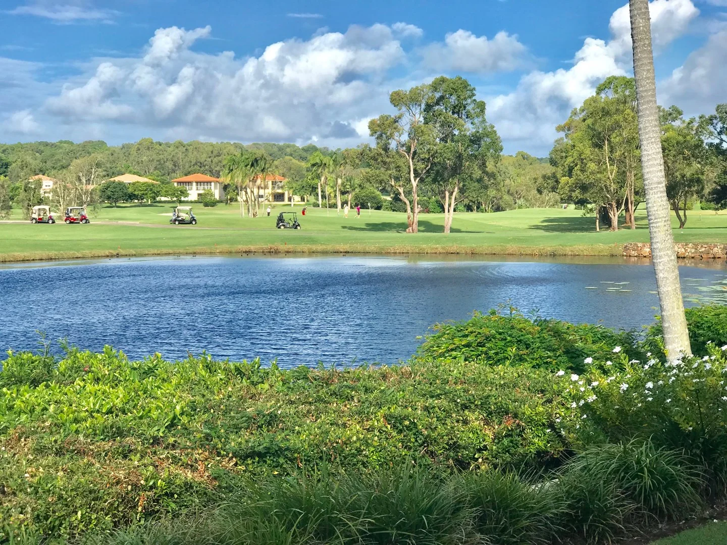 217/61 Noosa Springs Drive, Noosa Heads QLD 4567
