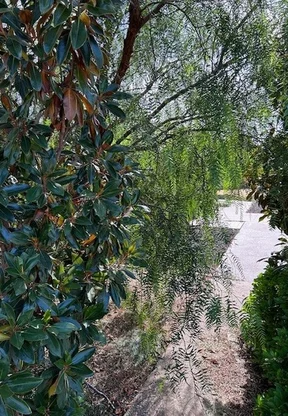 Additional image 7 of 10 Delaney Boulevard, Williams Landing VIC 3027
