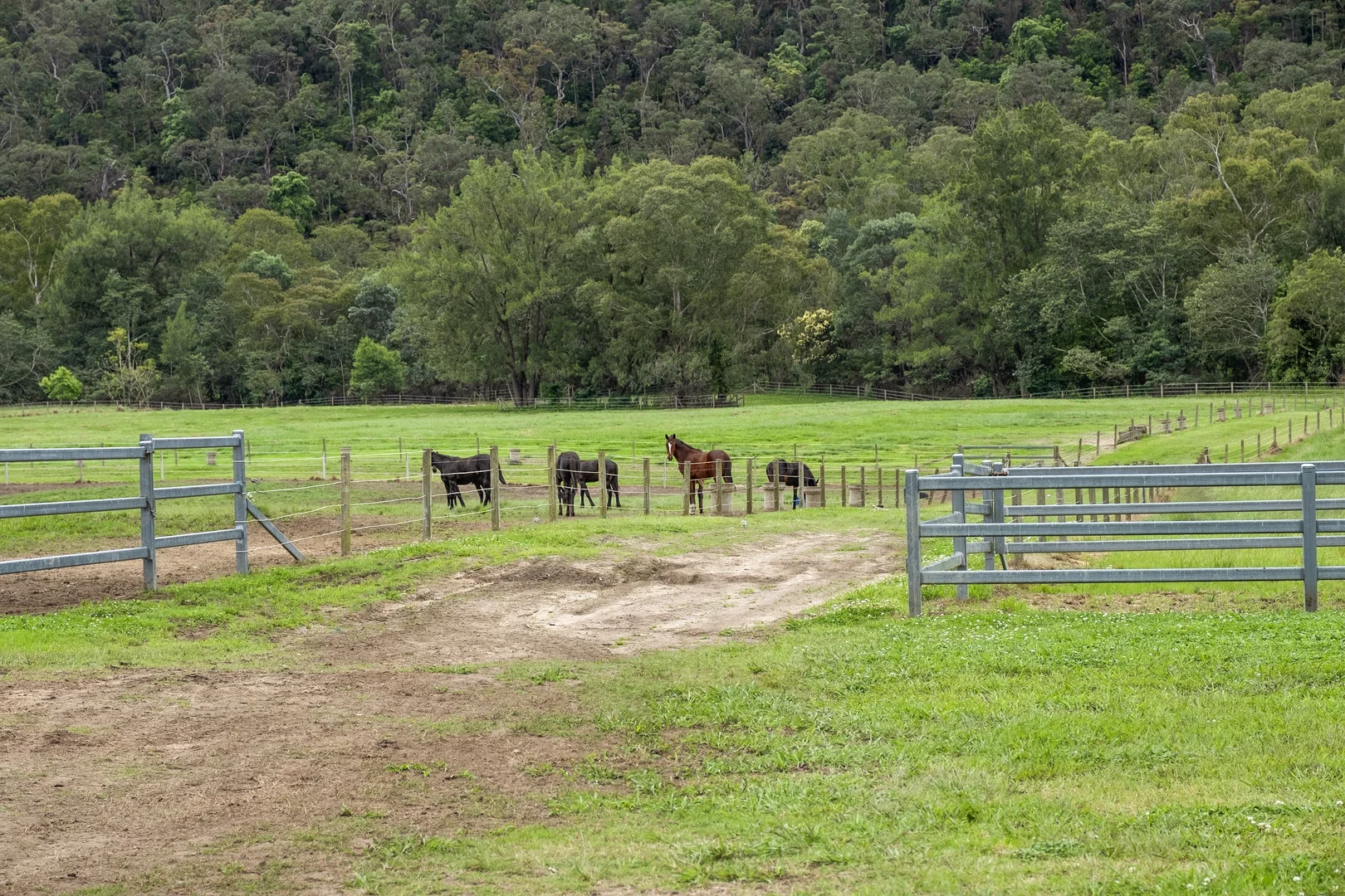 Additional image 18 of 1115B West Portland Road, Lower Portland NSW 2756