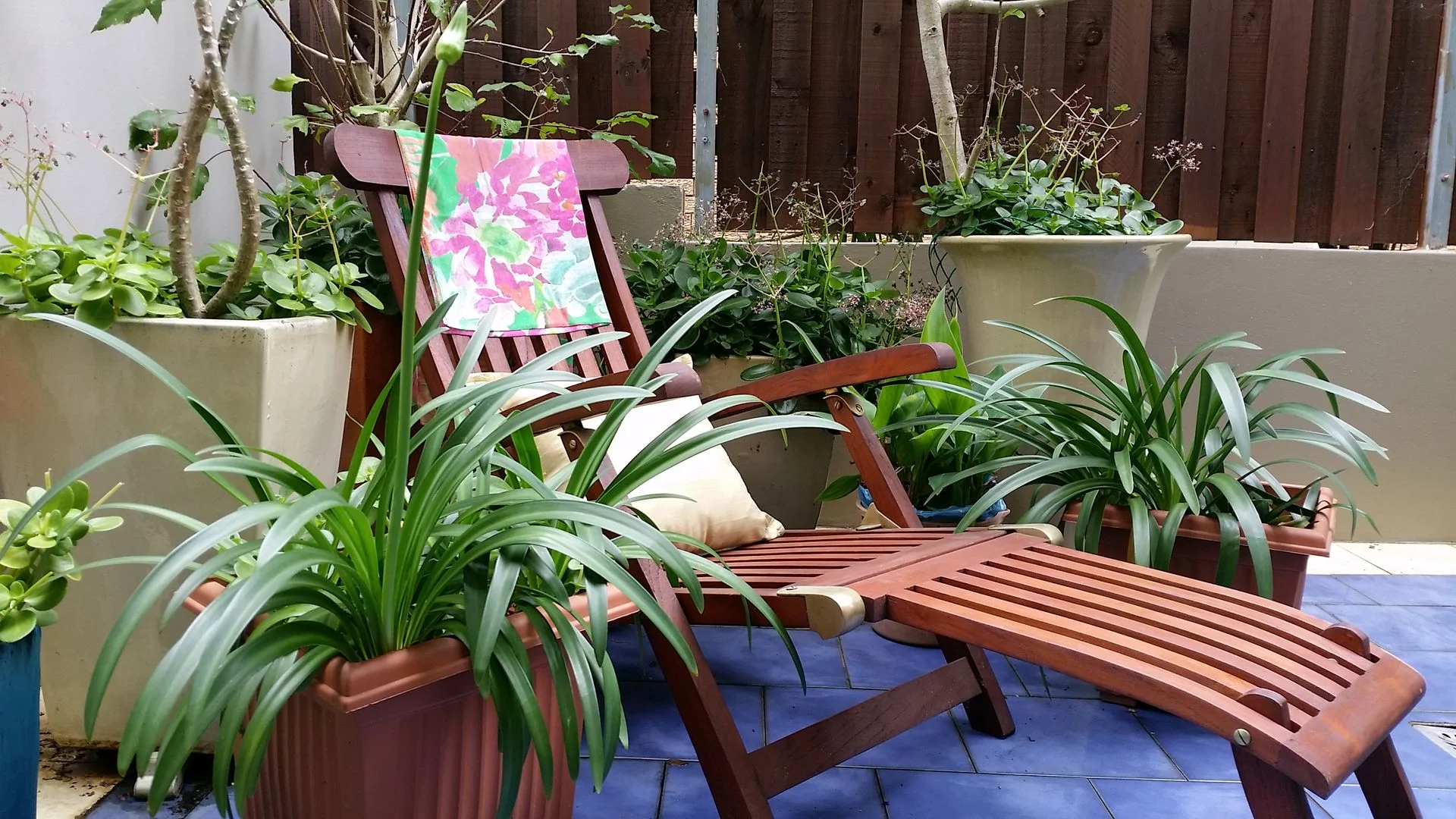11 - 21 Waterloo St, Narrabeen NSW 2101