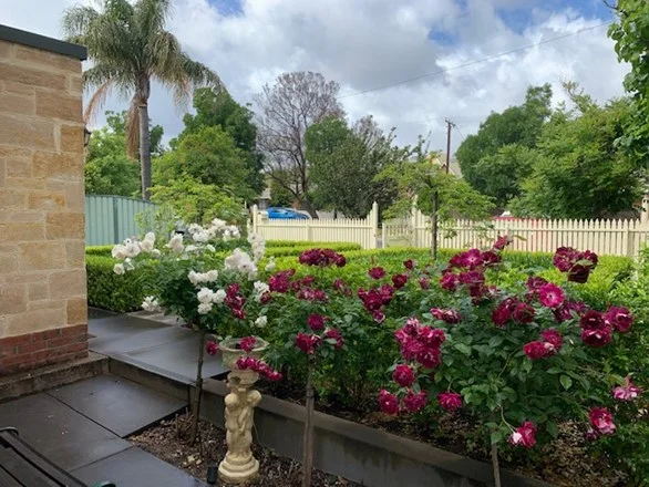 Additional image 3 of 3 Linden Avenue, Hazelwood Park SA 5066