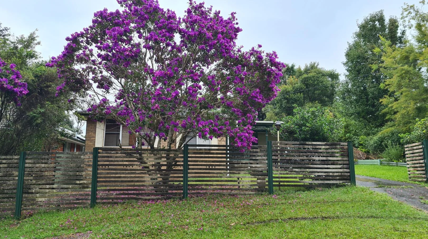 Additional image 7 of 10 Delaware Road, Niagara Park NSW 2250
