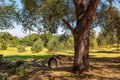Additional image 50 of 28808 Mountain Meadow Rd, Escondido, CA, 92026