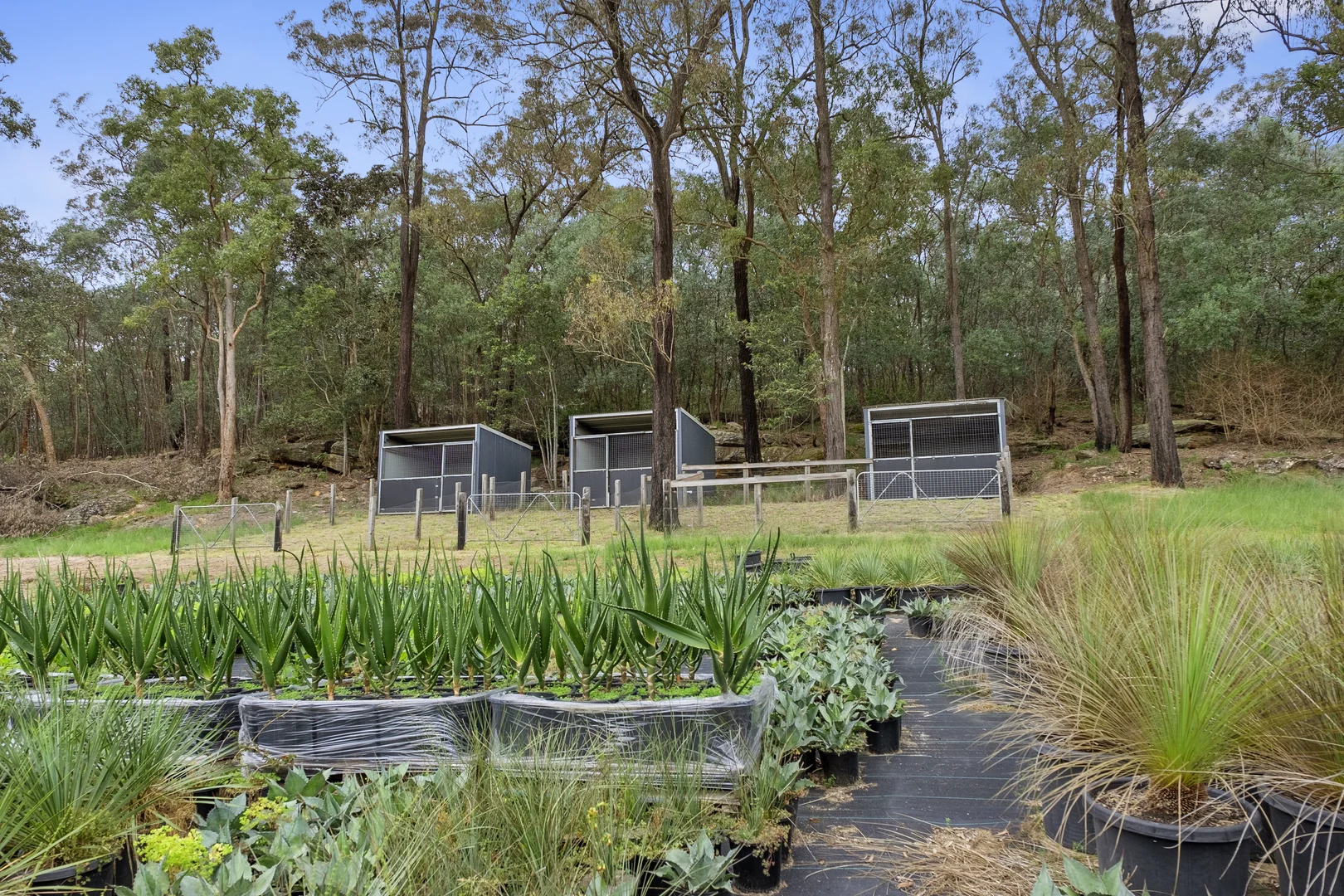 Additional image 20 of 1115B West Portland Road, Lower Portland NSW 2756