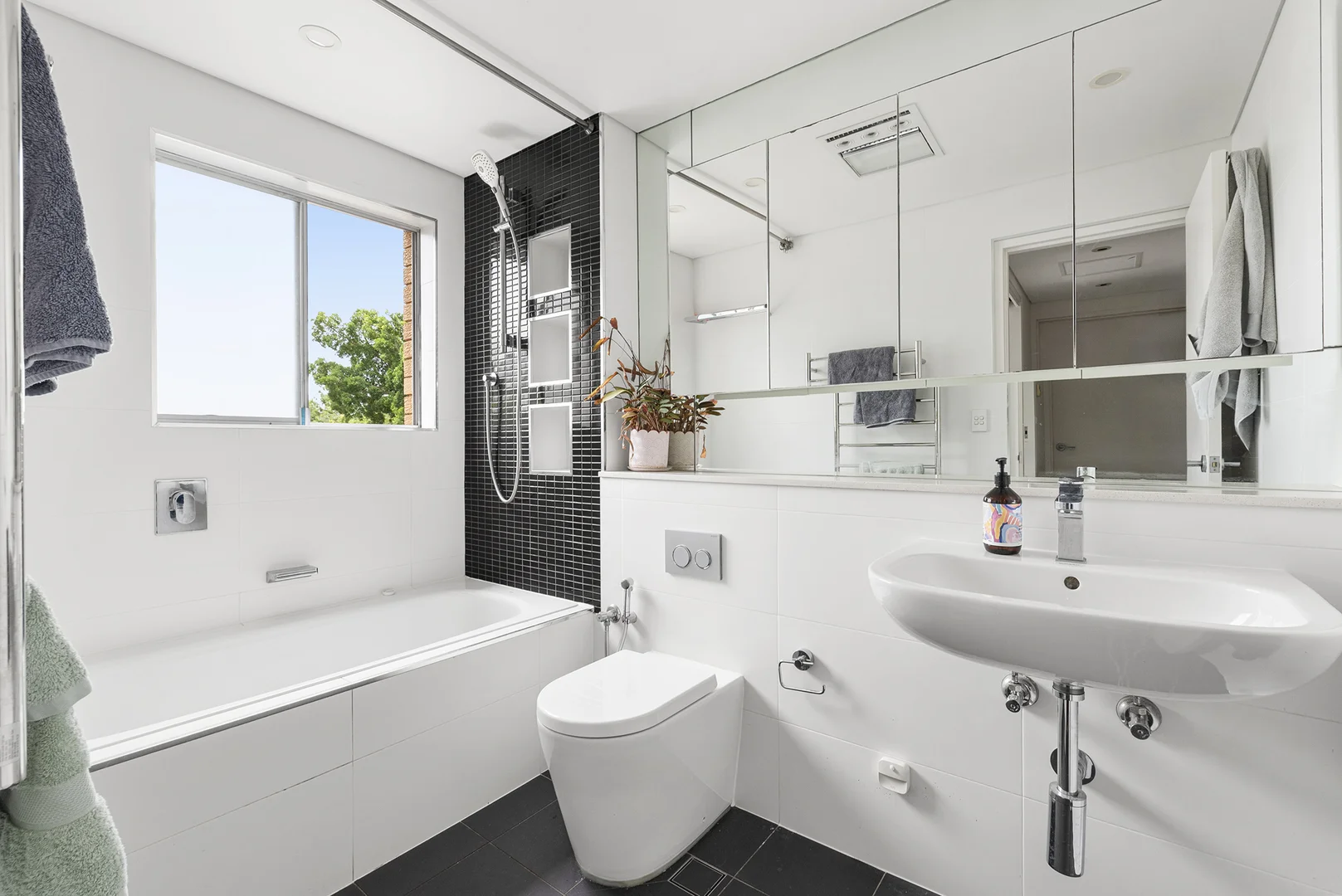 3/30 Figtree Avenue, Randwick NSW 2031 photo 5