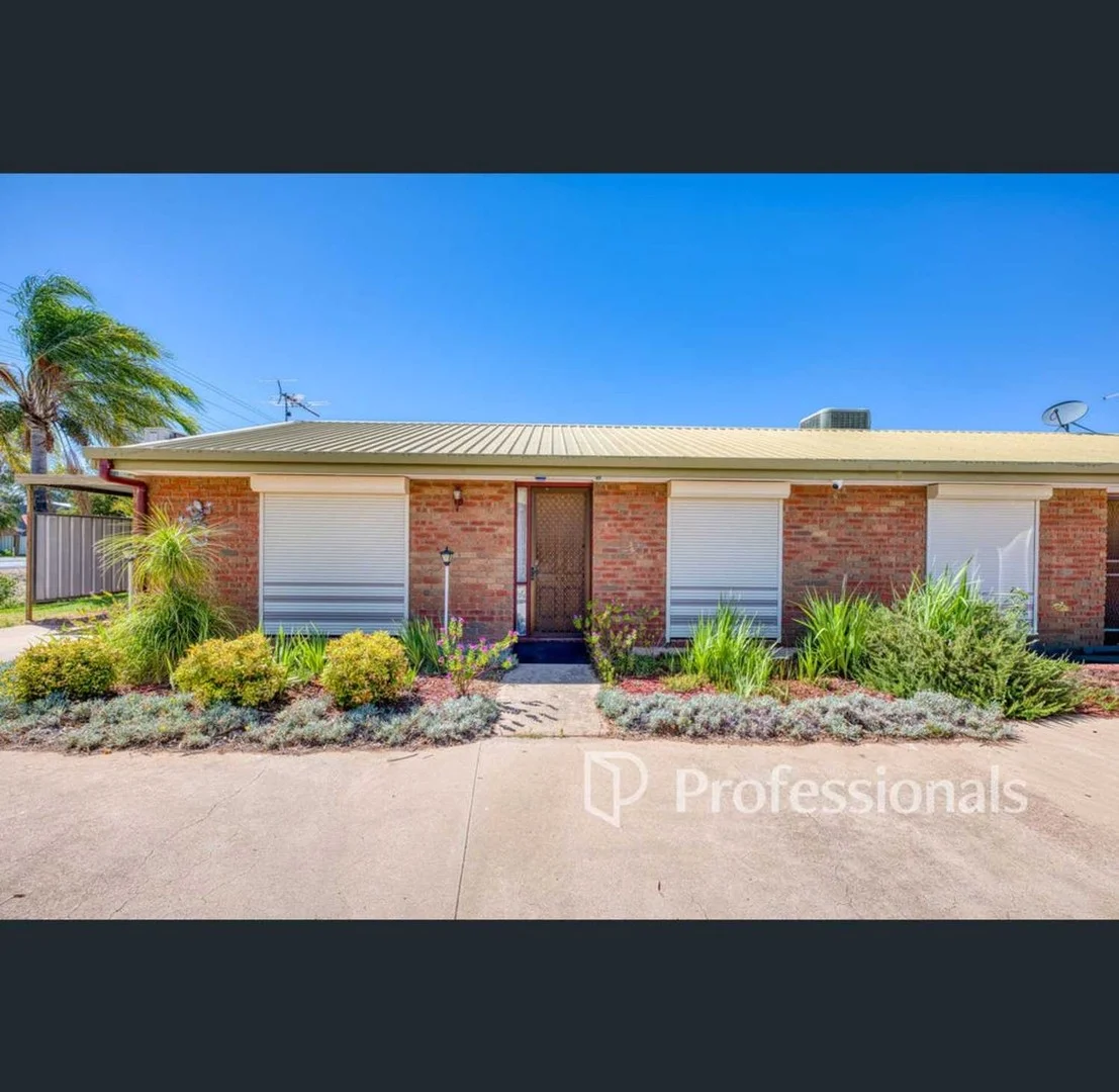 1/226 Adams Street, Wentworth NSW 2648
