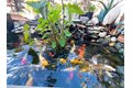 Additional image 27 of 1059 Harvest Mill Dr, Manteca, CA, 95336