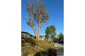 Additional image 37 of 15181 Van Buren Blvd Spc 52, Riverside, CA, 92504