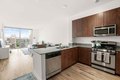 730 S Clark-5den St Unit 1-1, Chicago, IL, 60605