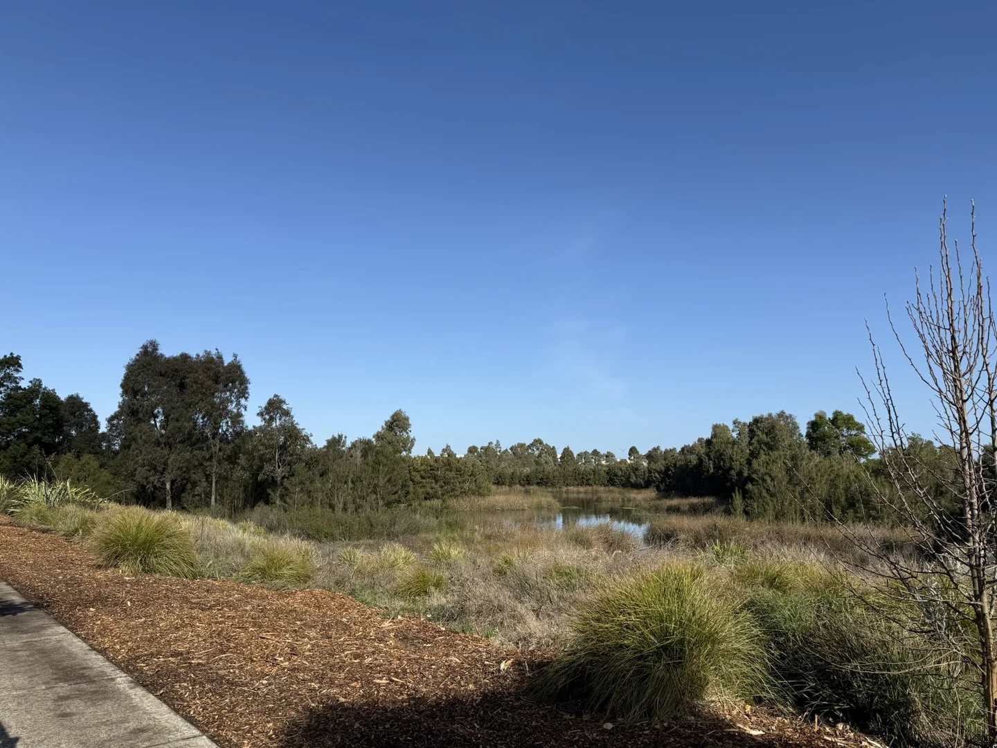 Additional image 13 of 1 Bunyip Lane, Clyde North VIC 3978