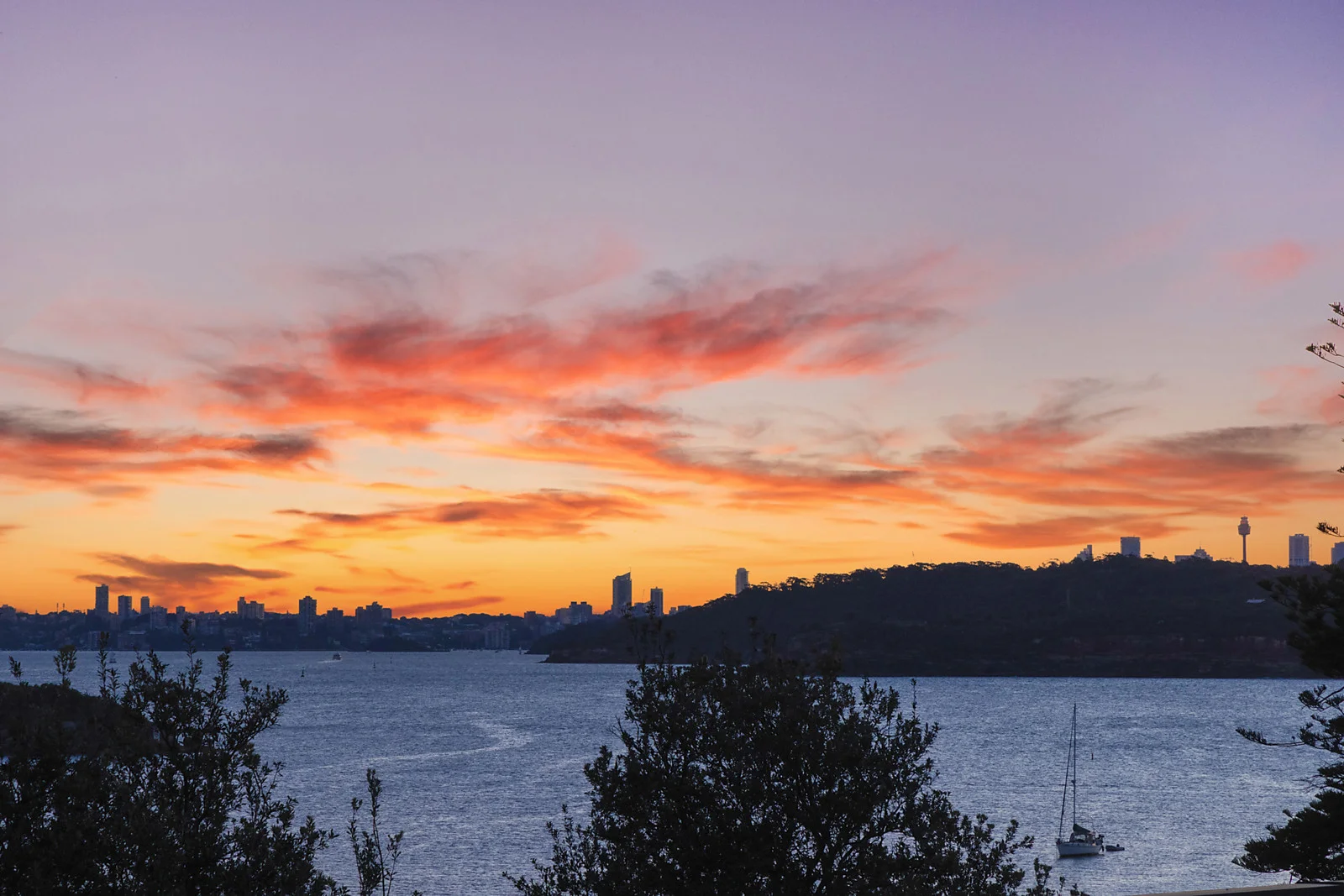 Additional image 3 of 24 Spring Cove Avenue, Manly NSW 2095