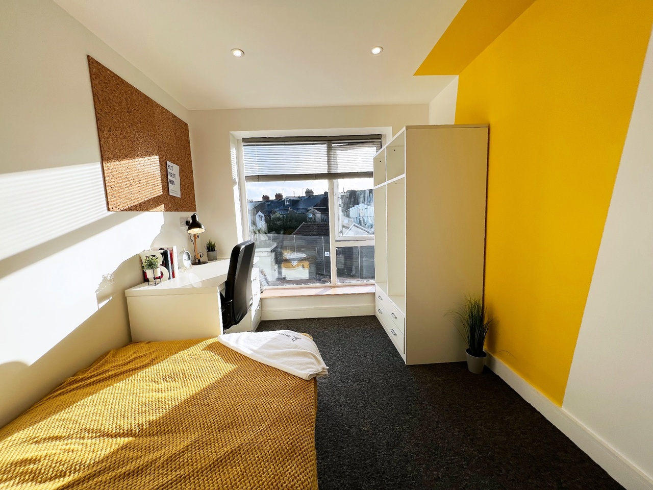 Additional image 6 of Studio Flat, Cathays Terrace, CF24, N1 7GU