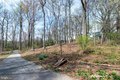 Additional image 33 of 4 Ridge Rd Unit A, Greenbelt, MD, 20770