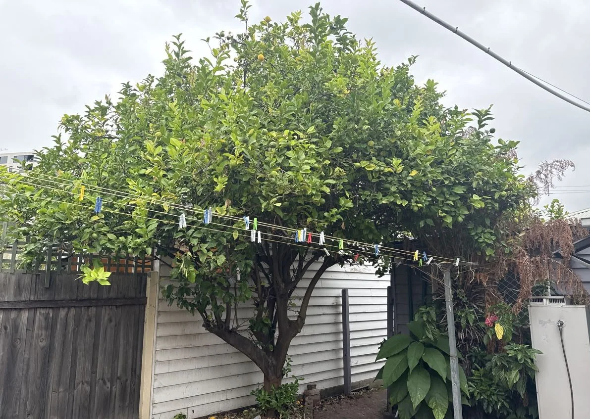 Additional image 6 of 18 Malden Street, Footscray VIC 3011