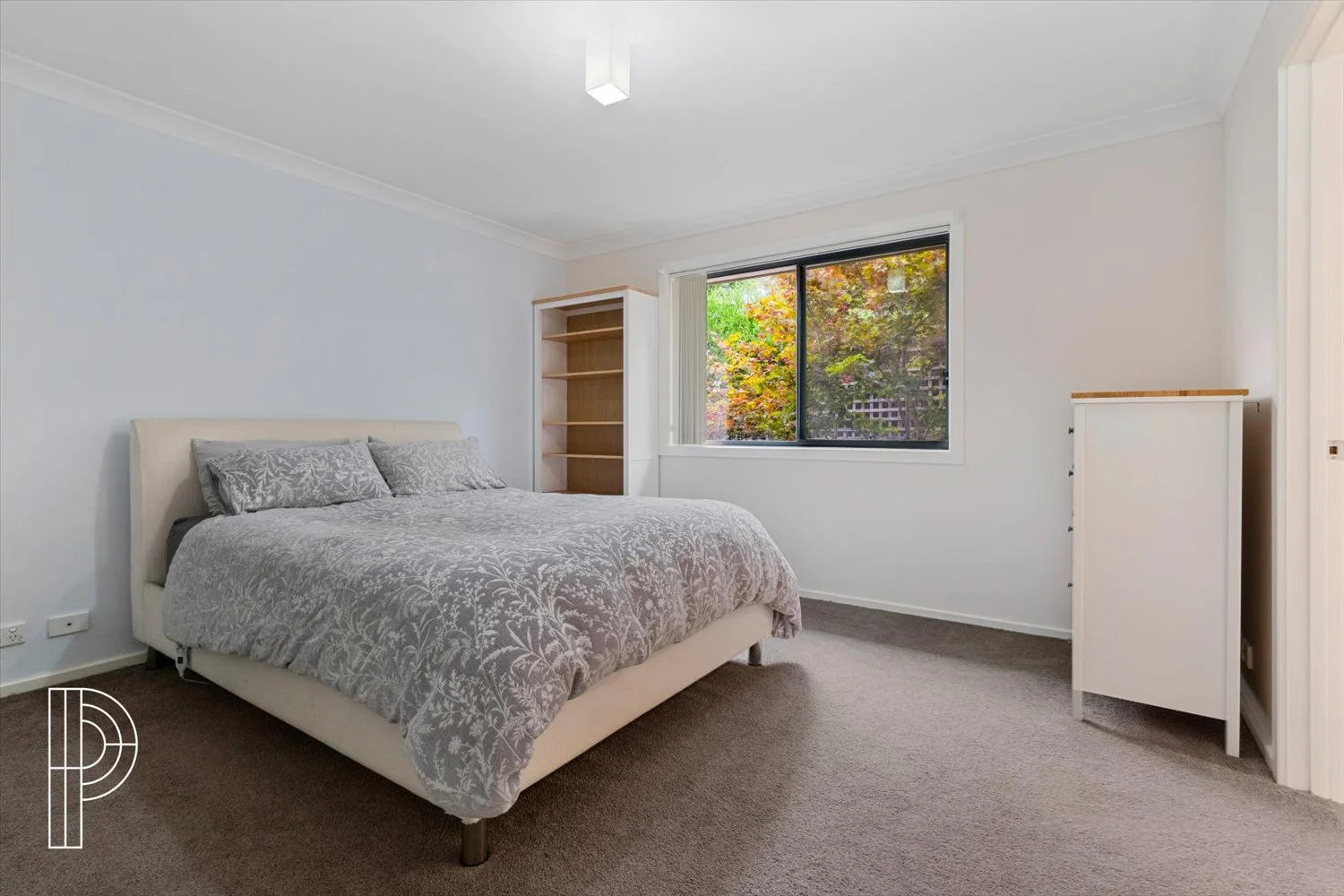 Additional image 5 of 29B Ogilby Crescent, Page ACT 2614