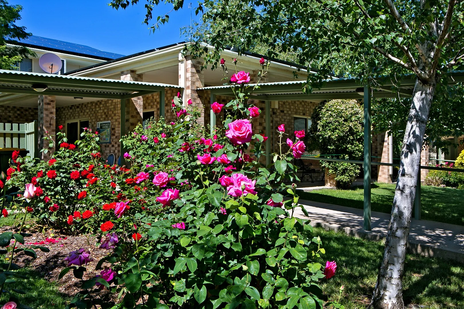 15 Albert Street, Orange NSW 2800